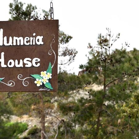 Plumeria House Archangelos  Exteriér fotografie